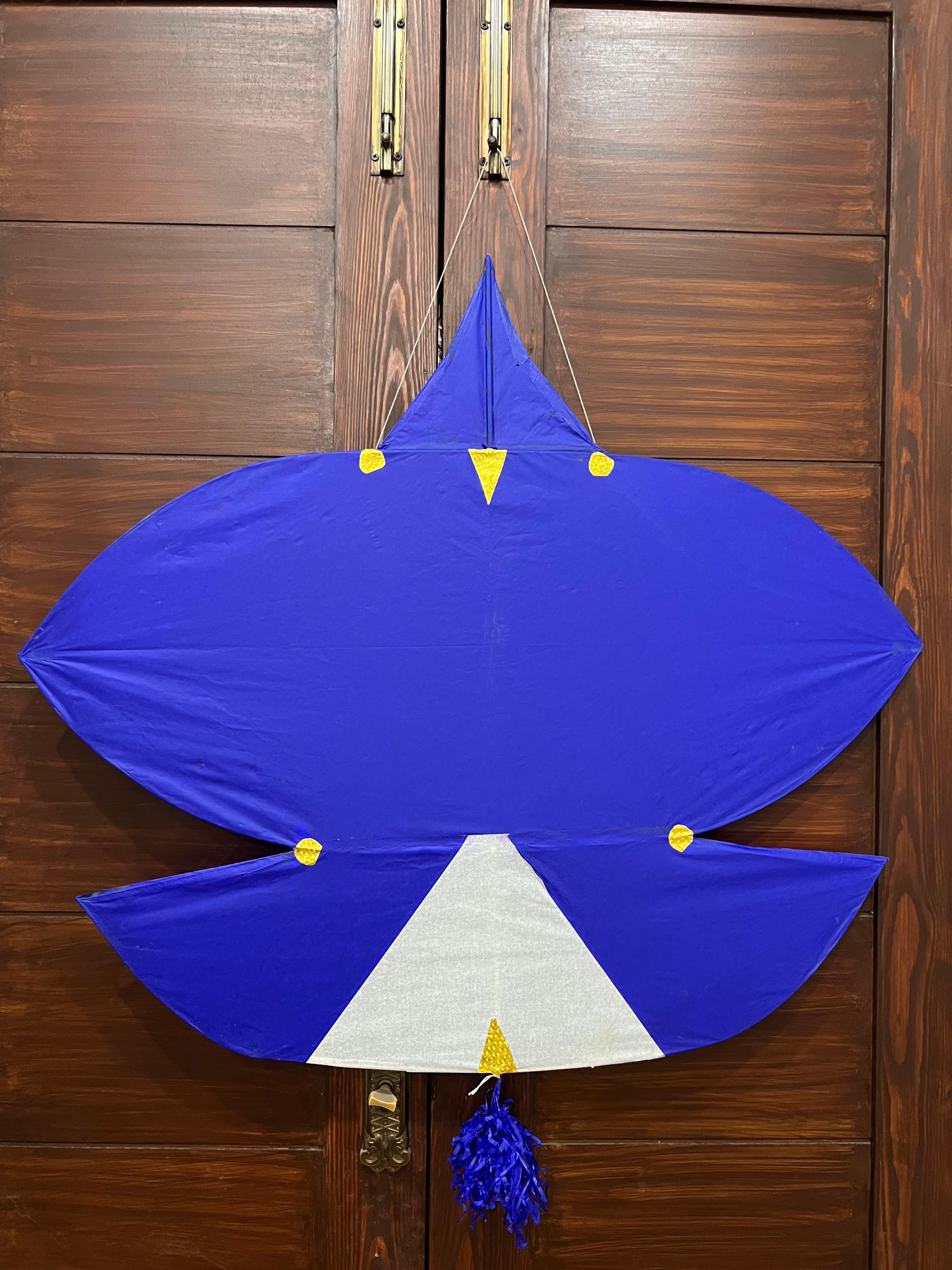 colourful patang