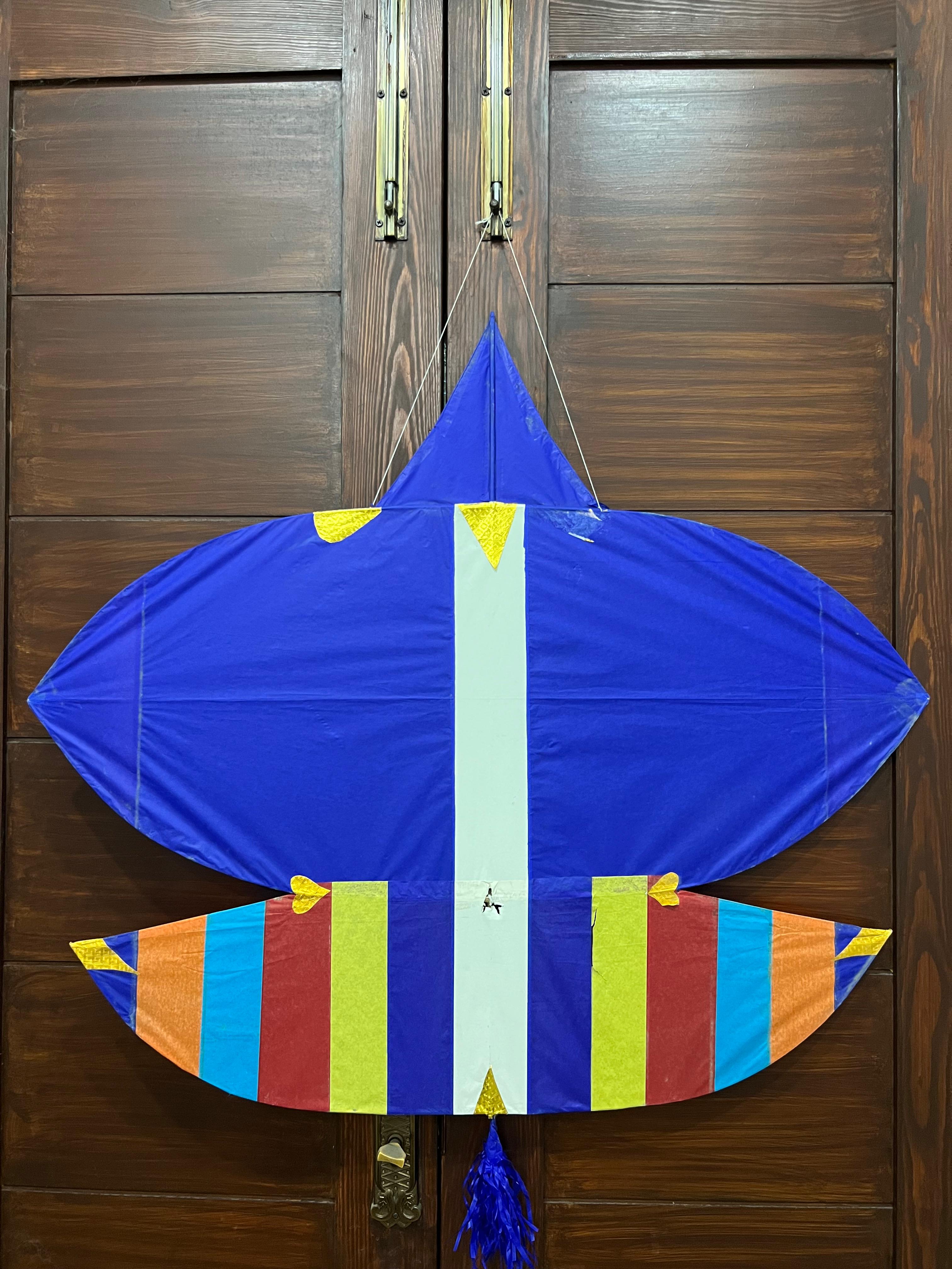 colourfull patang